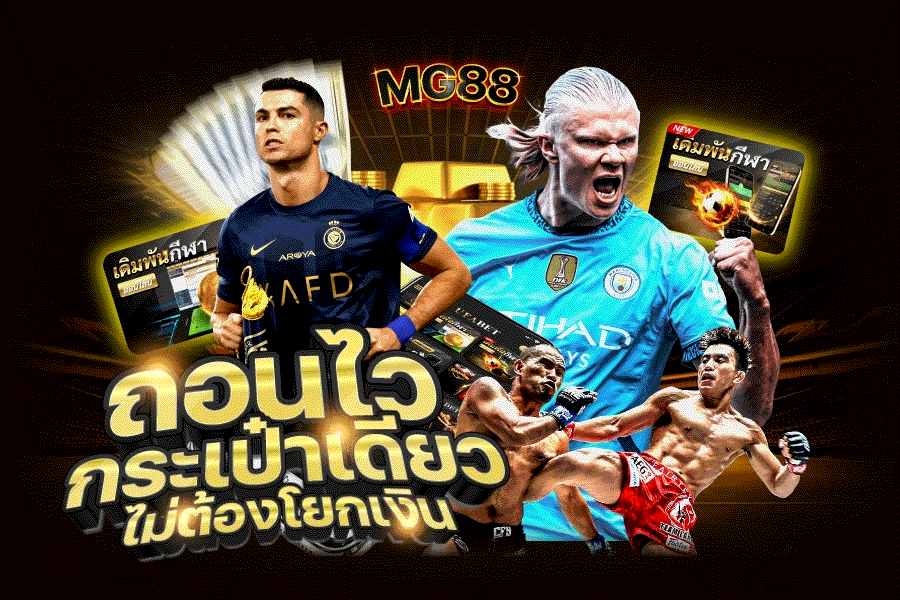 กระเป๋าเดียว