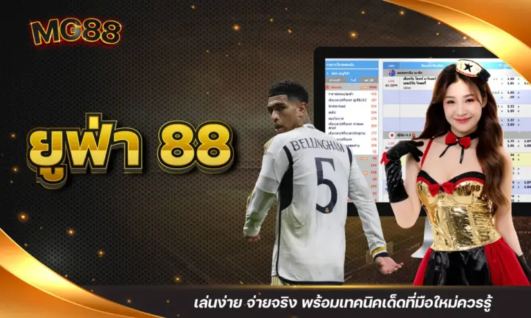 ยูฟ่า 88 เล่นง่าย จ่ายจริง พร้อมเทคนิคเด็ดที่มือใหม่ควรรู้