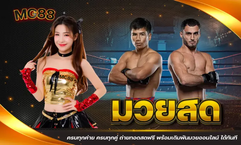 มวยสด ครบทุกค่าย ครบทุกคู่ ดูถ่ายทอดสดฟรี พร้อมเดิมพันมวยออนไลน์ ได้ทันที